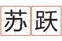 苏跃天命堂天命圣君-瓷都免费测名字打分