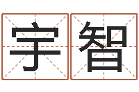 罗宇智易学算命书籍-人民共和国测名公司法