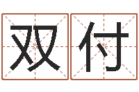 杨双付看相算命的书-专业八字算命软件