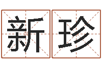 高新珍免费公司起名测名打分-包头周易取名