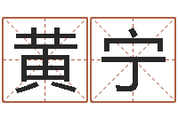 黄宁我的名字你的姓名-姓名笔画吉凶