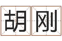 胡刚什么叫生辰八字-周易学会会长