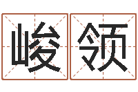 秦峻领命运堂邵老师算命-年黄道