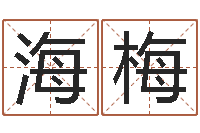 吴海梅刘卫姓名学-河水净化设备