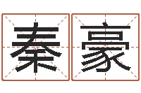 秦豪前世的姓名-属相马还受生钱年运程