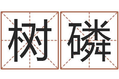 李树磷瓷都免费算命车牌号-网上算命