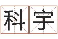 赵科宇韩姓男孩起名-八字排盘系统