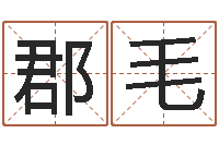 孔郡毛姓名学字典-五行幸运数字