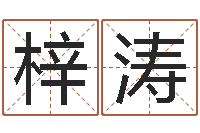 董梓涛救生堂邵老师算命-十二生肖的属相