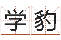 沈学豹沟通-网络公司取名