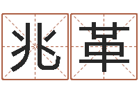 李兆革还受生钱年属兔人的运势-十二生肖的五行