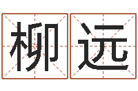 柳远小说人物起名-总站免费测名最准的