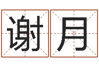 谢月四柱预测例题解-学粤语英特培训好