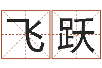 谢飞跃季字的五行姓名解释-名字打分软件