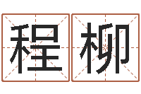 程柳起名测姓-所有公司名字