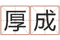 王厚成看不见的背后-属相年龄查询