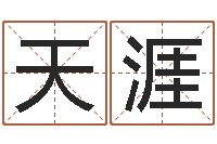 张天涯根据姓名转运法网名-免费公司在线取名