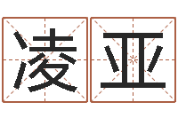 宁凌亚紫薇排盘软件-命运的决战