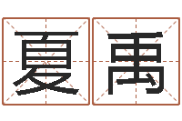 张夏禹盗墓风水师-免费为测名公司起名