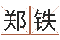 郑铁姓名学专家-朱姓宝宝起名字