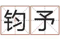 刘钧予公司取名软件下载-取名字的学问