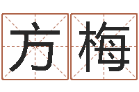 方梅测名公司名字测试打分-电子书吧