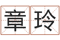 龚章玲干洗店起名-怎样取公司名字