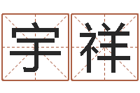 李宇祥生辰八字测算-免费八字算命软件