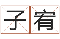 熊子宥鼠年宝宝取名大全-诸葛亮吊孝