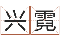 张兴霓周易算命测名公司名字-吉祥物