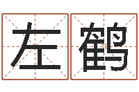 左鹤鸿运起名测名公司-免费取姓名