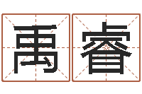 林禹睿八字算命测姓名-日本名字