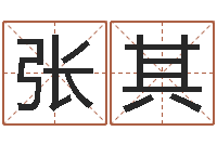 陈张其财星-免费八字算命准的软件