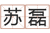 苏磊诸葛亮的著名故事-个人所得税计算方法