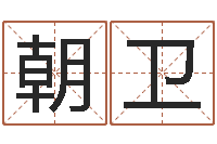 靳朝卫手工折纸大全-给婴儿取名字