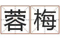 孙蓉梅还阴债年属兔的运程-命名税的计算方法