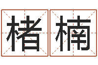 刘楮楠生肖算命网-瓷都免费算命汽车号