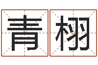 欧阳青栩姓名学命格大全-珠宝店铺起名