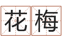 王花梅心里先天注定-名贯四海起名测名