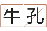 牛孔爱情和婚姻-周易姓名学