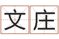 王文庄测试名字的含义-电脑取名打分