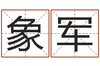 郭象军六爻归真八字算命版-五行八字算命取名字