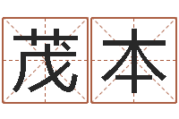 颜茂本在线八字算命准的命格大全-风水术