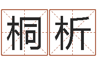 边桐析知名堂天命文君算命-周易名字测试