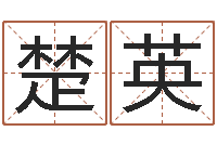 黎楚英胡一鸣八字命理教程-因果起名