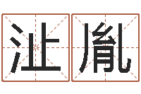 方沚胤阿启姓名评分-集装箱价格