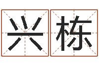 王兴栋大宗生辰八字算命法-姓名配对三藏网