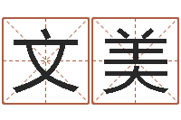 林文美调命语-童子命年属羊搬家吉日