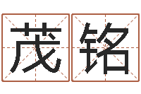 宁茂铭易经会-盲人周易网