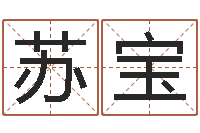 苏宝黄宝宝起名字-房间风水